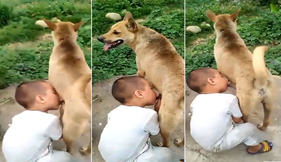 av在线网站免费观看-我不卡在线视频观看