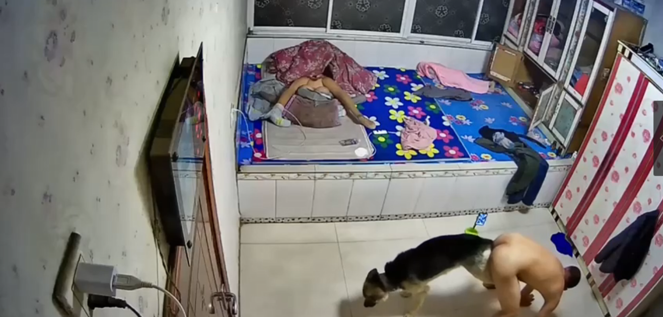 欧美另类交人妖-4K高清日韩成人在线