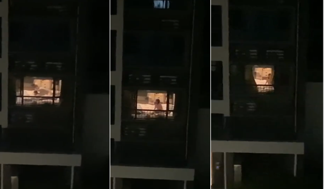 日日久99久-啦啦高清完整在线观看