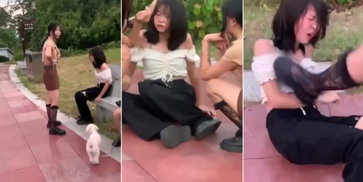 丰满日本主妇偷交hd-中文字幕大全免费观看视频