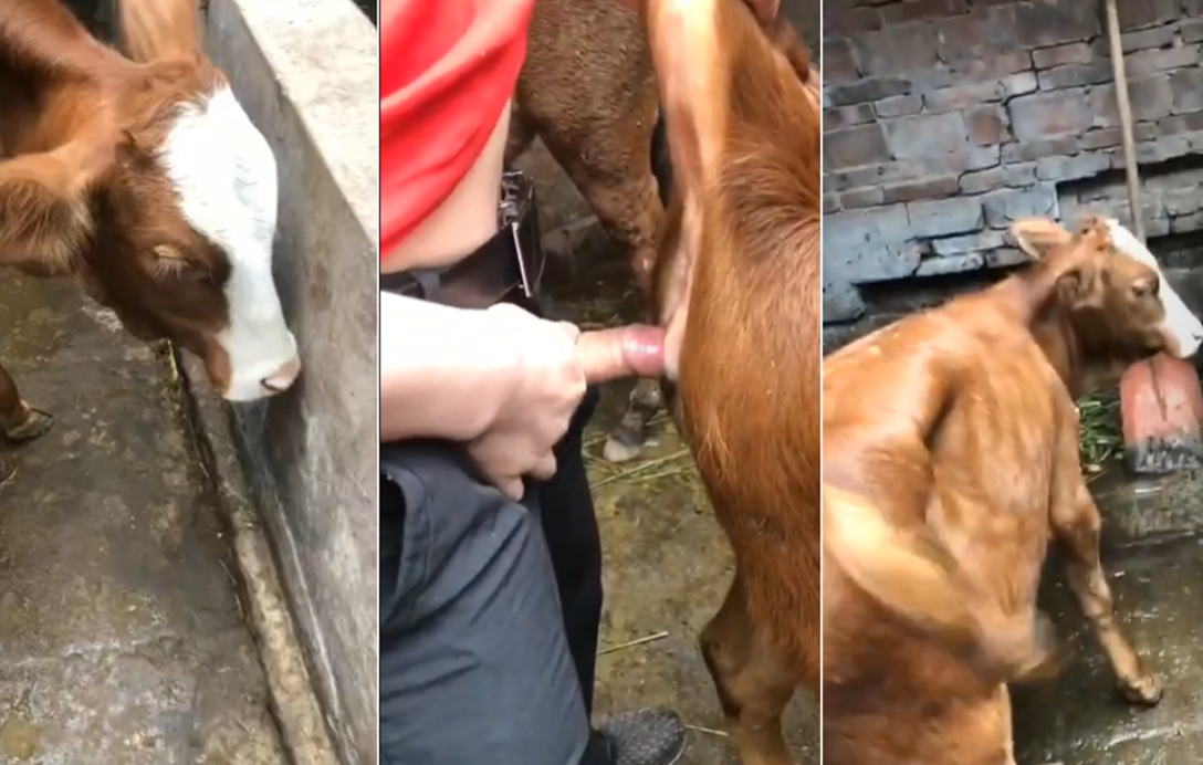 抖淫㊙️黄www免费观看-电影无删减午夜激情