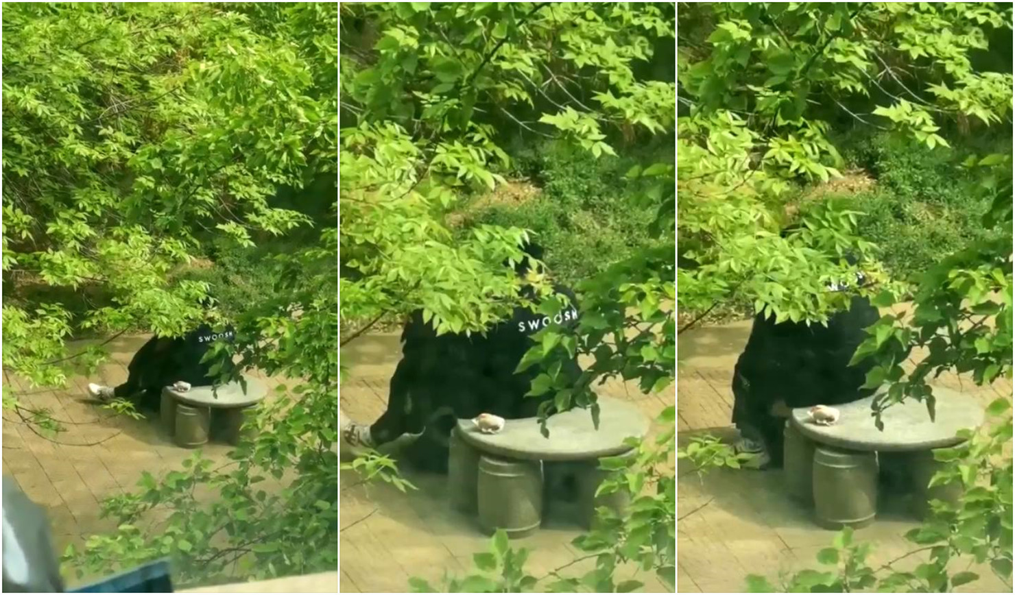 午夜樱花痒痒-韩剧在线天堂新版